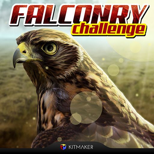 Falconry Challenge